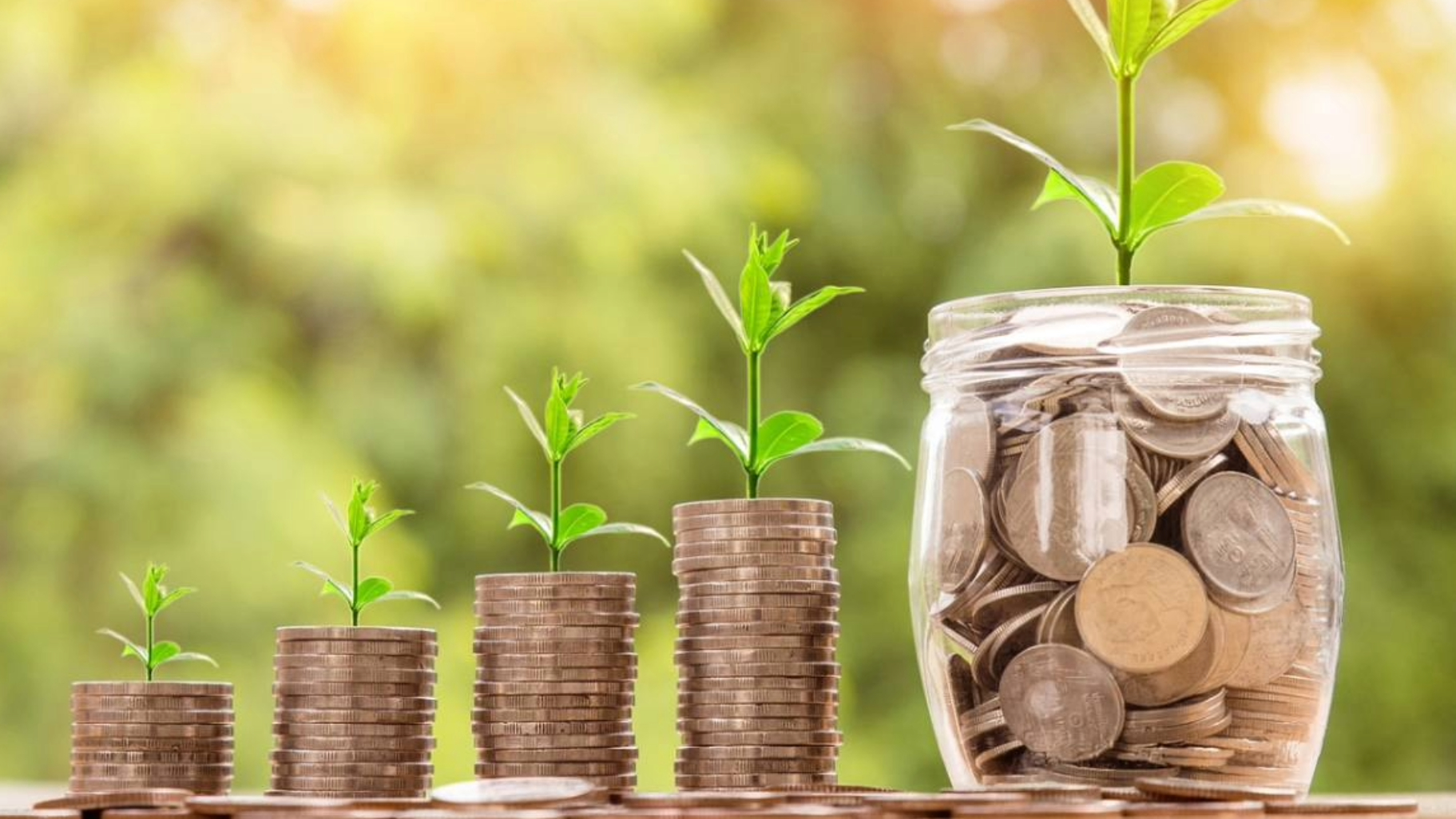 The Power of Compounding: How Small Investments Can Lead to Big Gains